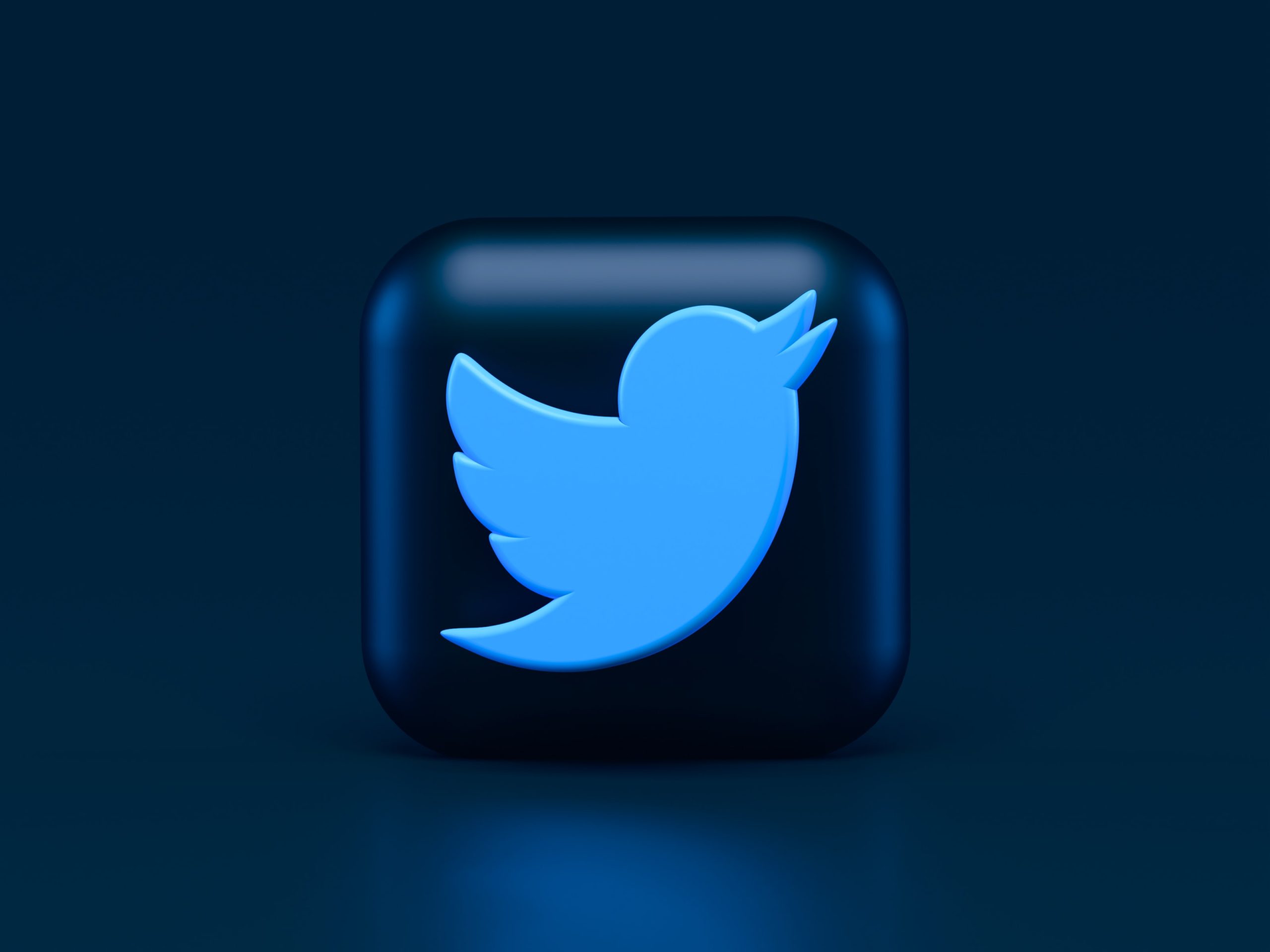 Twitter Logo 3d